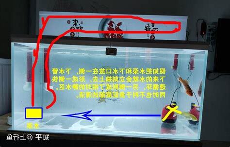魚缸 水流